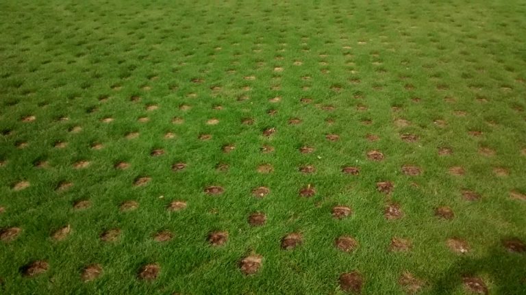 agujeros cesped duco (2)